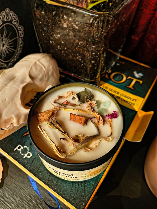 🍁 eternal bloom candle (Marigold/sempasuchitl)