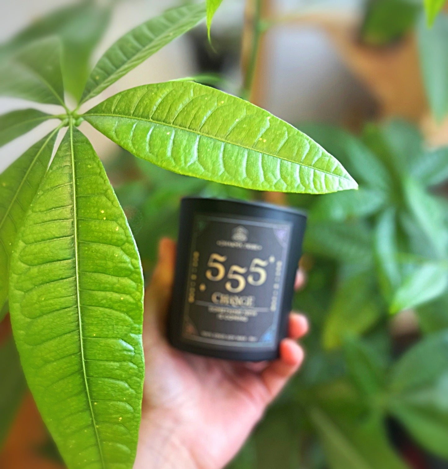 Numerology candle 555